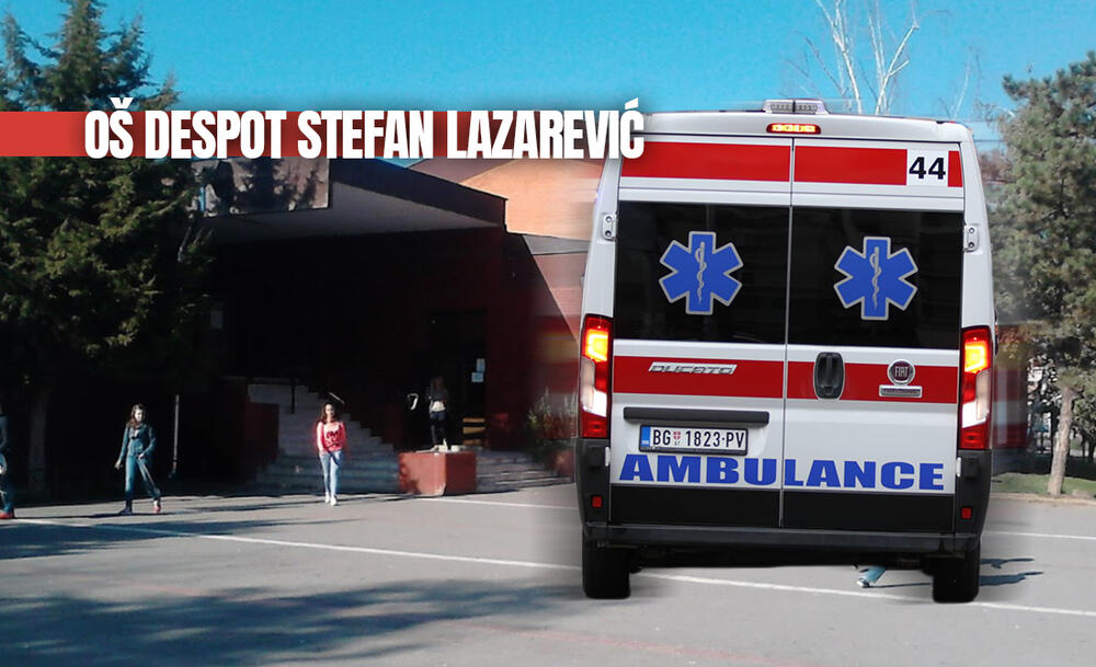 Despot Stefan Lazarević, Osnovna škola