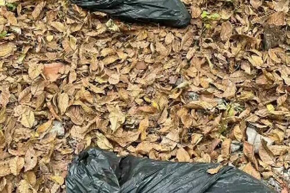 VIDELI POLICIJU PA BACILI CRNE DŽAKOVE, DRAMA U ZEMUNU: Jedan (19) je pao, za drugim se traga!