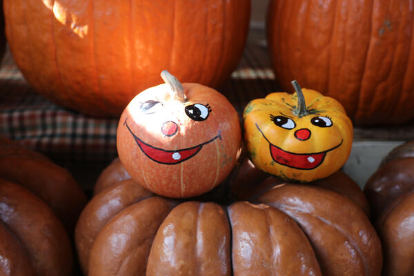 Da li ste probali med od bundeve? Moćan eliksir za srce, ublažava kašalj i rešava problem sa zatvorom