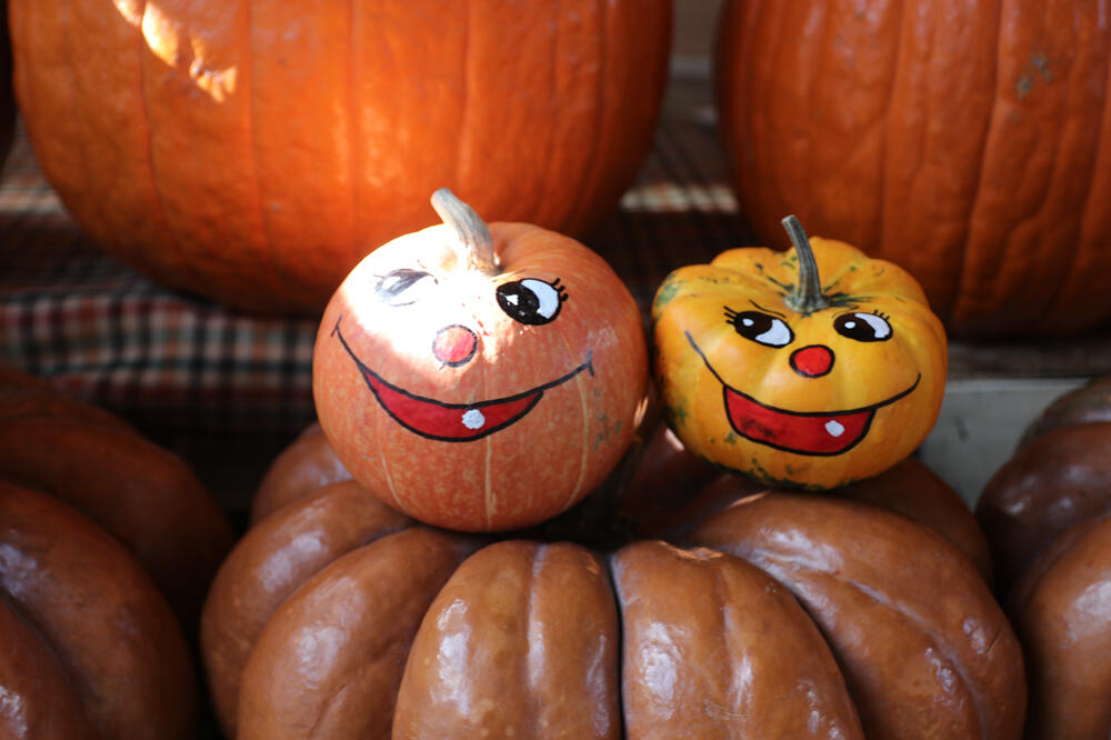 Da li ste probali med od bundeve? Moćan eliksir za srce, ublažava kašalj i rešava problem sa zatvorom