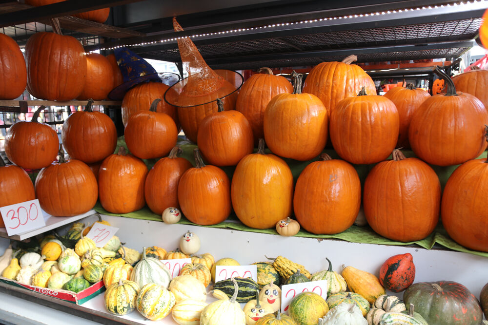 Noć veštica, Bundeva