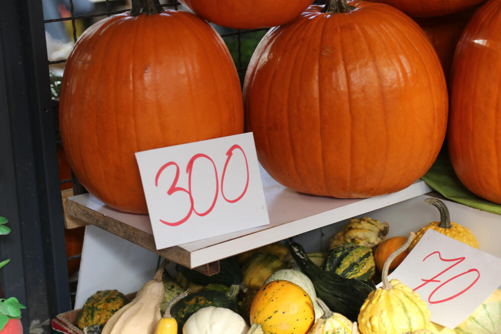 MLADIĆ SEO U DŽINOVSKU BUNDEVU I PROVOZAO SE REKOM: Modernoj Pepeljuzi je SAMO jedna stvar bila NAJTEŽA (FOTO)