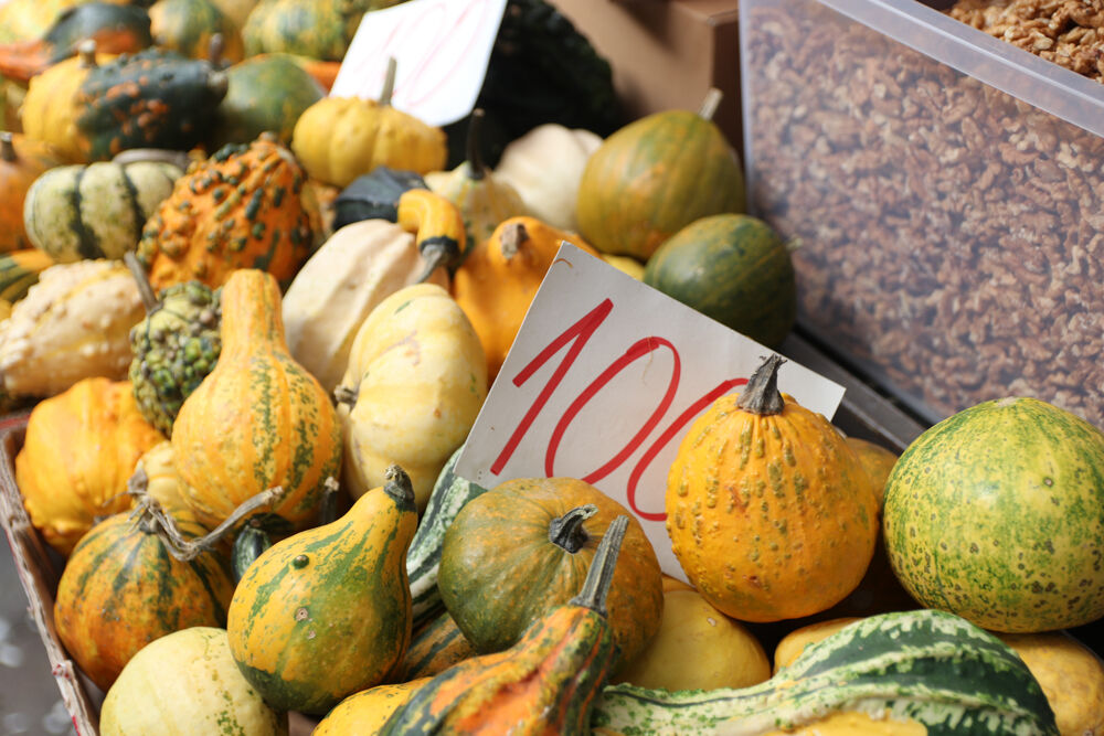 Noć veštica, Bundeva