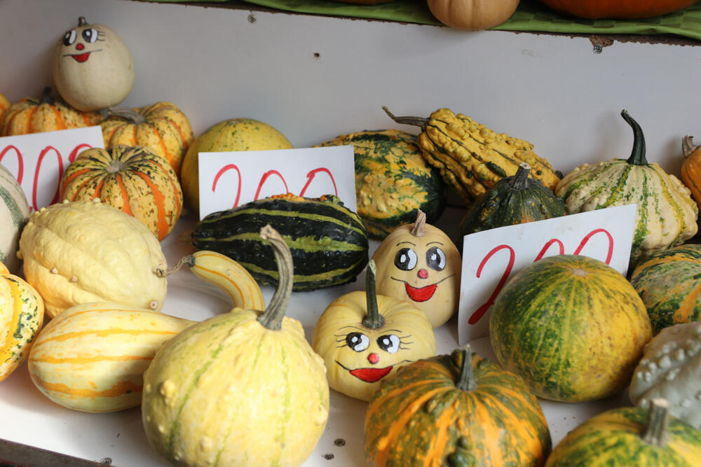 Noć veštica, Bundeva