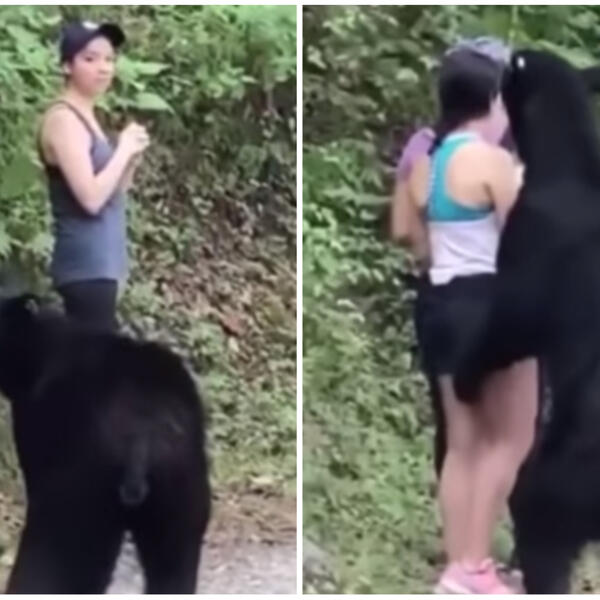 PRAVILE SU SELFI, A ONDA JE USLEDILA NOĆNA MORA: Nisu smele da MRDNU kada je MEDVED krenuo da im radi ovo! (VIDEO)