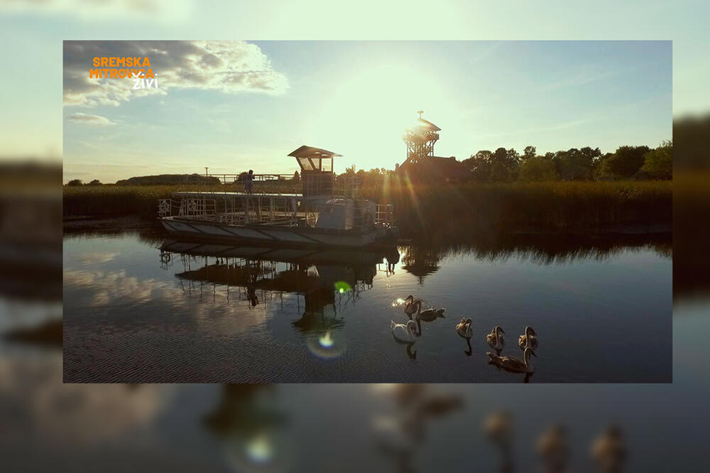 700.000 LJUDI POSETILO ZASAVICU: Ovo je pravi Mačvanski biser kome se svi rado vraćaju!