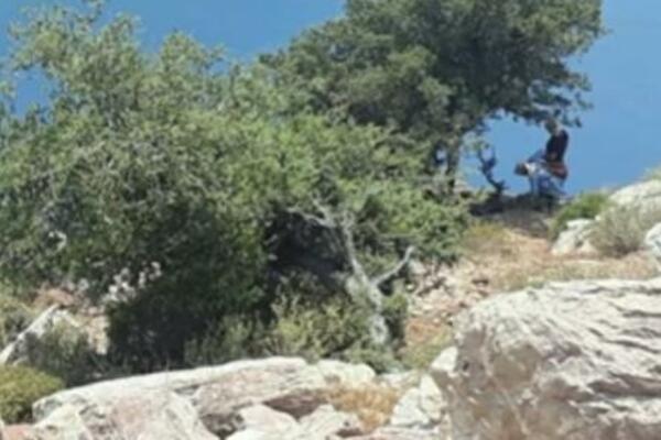 TRUDNU ŽENU JE ODVEO NA LITICU, A ONDA JE NAPRAVIO ZLOČIN: Prolaznik je snimio SVE, DOŽIVOTNO će TRUNUTI u ZATVORU