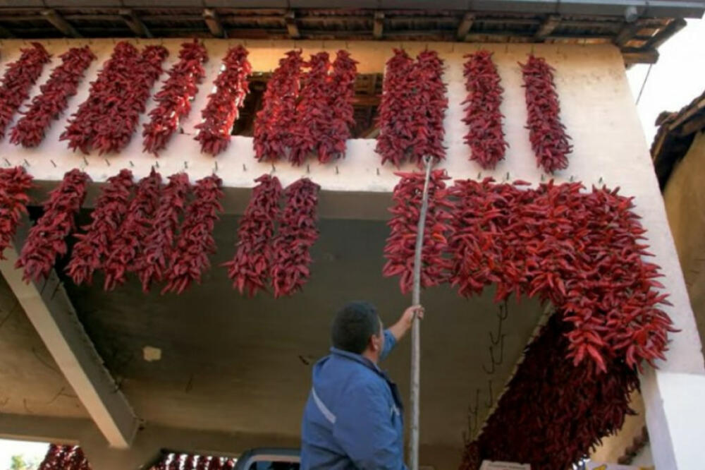 DA LI STE ČULI ZA "CRVENO SELO" U SRBIJI? Meštani ovde NE PEKU PAPRIKU, pogledajte šta rade s njom (FOTO)