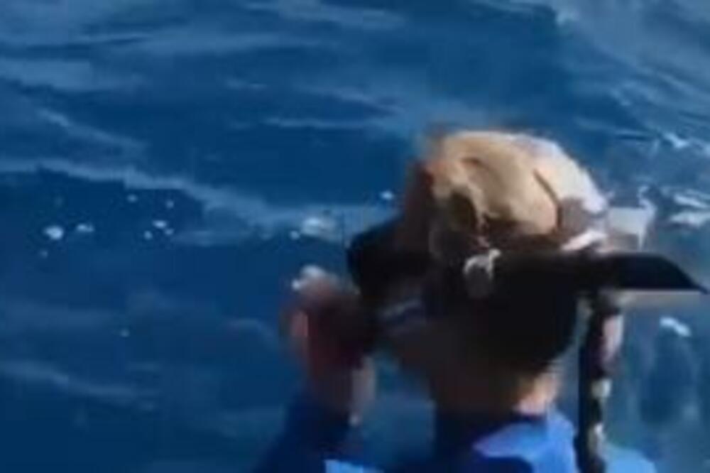 KRENULA JE DA UĐE U MORE, A ONDA JE VIDELA JEZIVO STVORENJE: Za dlaku je izbegla TRAGEDIJU, isplivao i SNIMAK