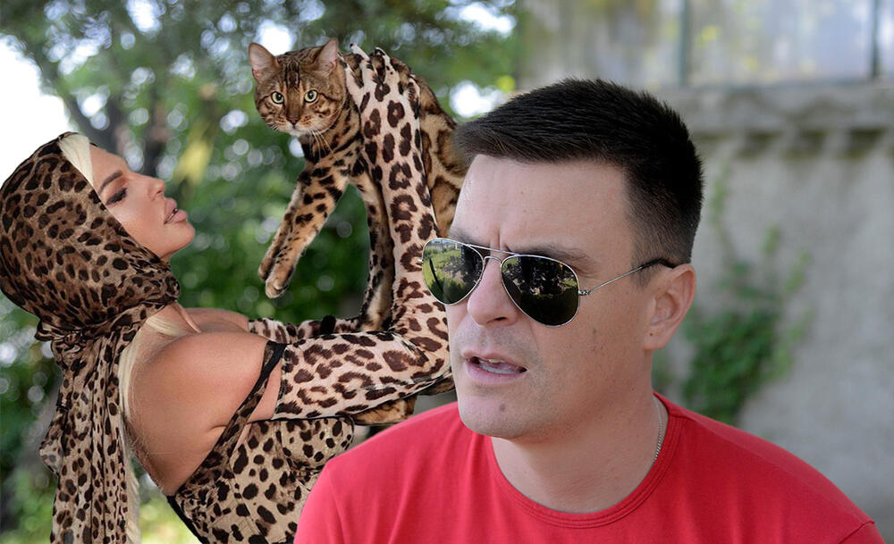 Jelena Karleuša, Vuk Kostić