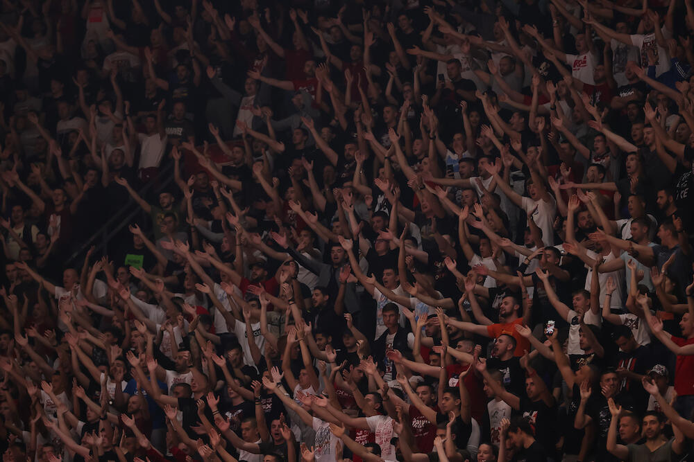 Delije, Navijači Crvene zvezde