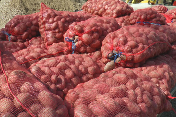 STRUČNJACI OTKRILI DA LI JE BOLJI CRVENI ILI BELI KROMPIR: Razlika je velika, a ovaj je zdraviji