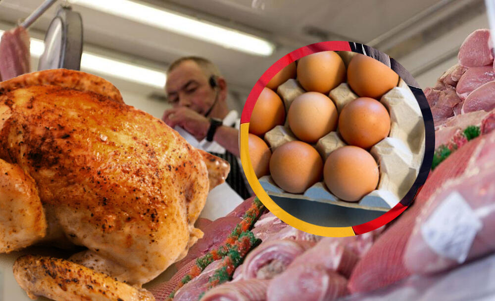 Nemačka, Piletina, Jaje, Jaja, Pile