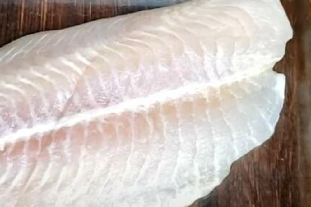 OVAKVA RIBA JE MRSNA KAO I MESO, MOŽETE JE JESTI ČAK I ZA SVETOG NIKOLU: Zanemećete kada OVO PROČITATE (FOTO)