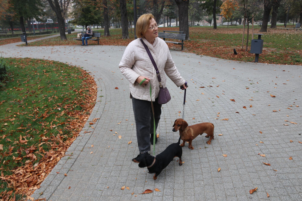 Jazavičar, Espreso ljubimac