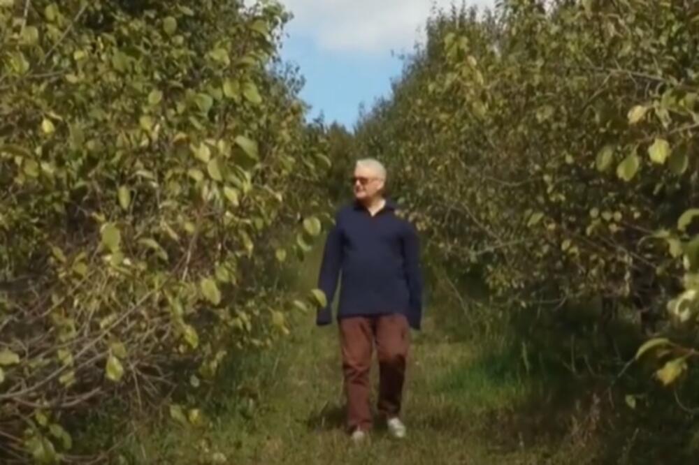 MLADEN ŽIVI U LONDONU, A U RODNOM SELU JE PODIGAO ŠLJIVIKE ZA PONOS: Gaji sortu koja je najbolja za rakiju! (FOTO)
