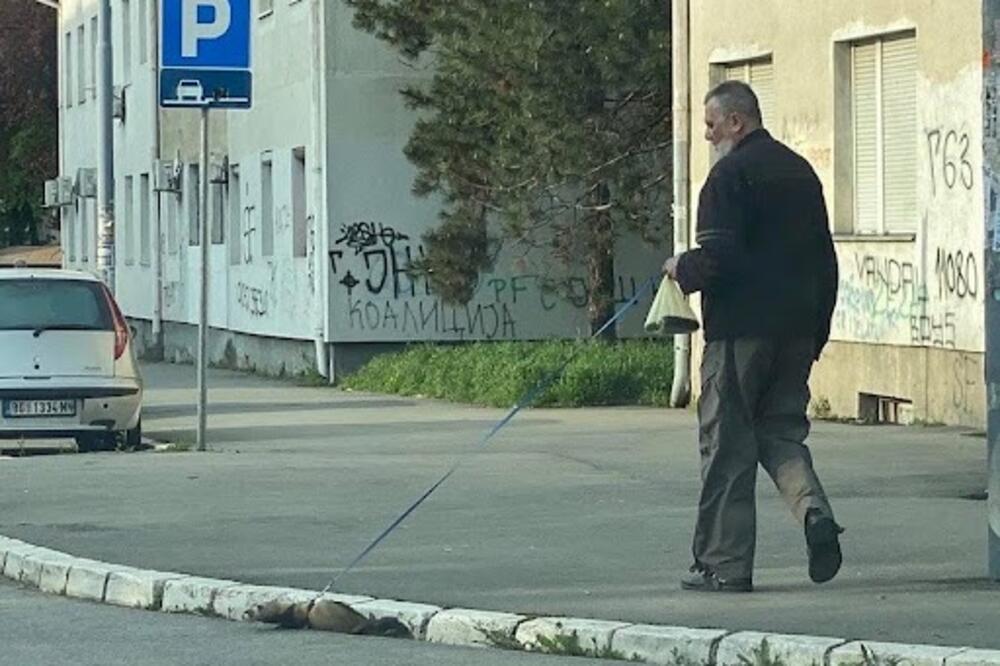 ZEMLJAČE, ŠTA TO ŠETAŠ NA POVOCU? Svi gledaju životinjicu u Železniku, a niko ne zna šta je - NIJE LASICA! (FOTO)