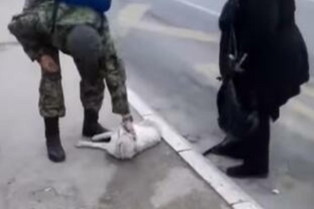 VOZAČ UDARIO PSA U NIŠU, ŠUTNUO GA I OSTAVIO NA PUTU: A onda se pojavio OVAJ VOJNIK i vratio veru u ljude (VIDEO)