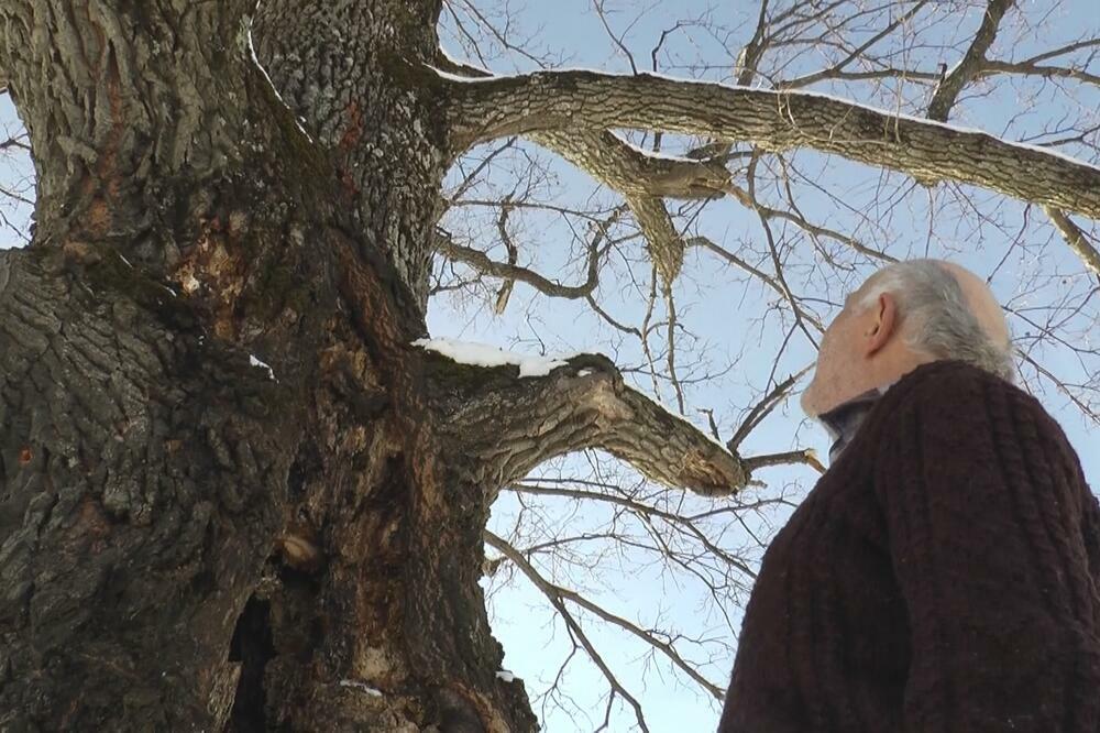 DRVO SA KRSTOM: Meštani ovog srpskog sela strepe, jedan čovek ga NAMERNO OŠTETIO i desilo mu se nešto STRAŠNO