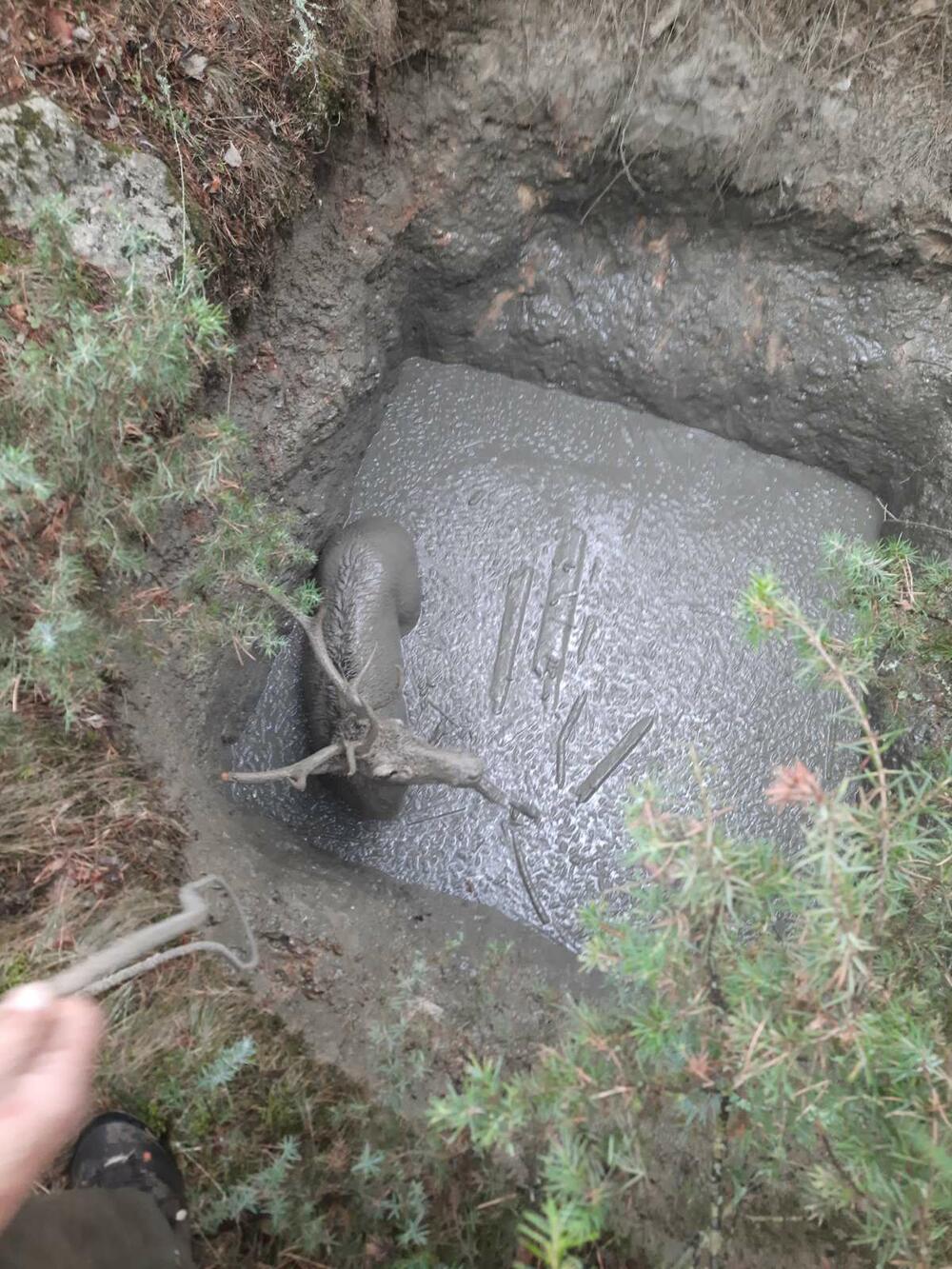 Rupa u koju je jelen upao u selu Čadinje