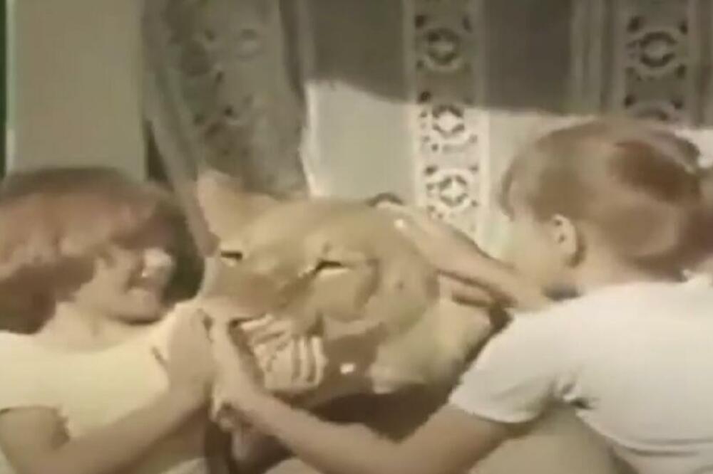 PORODICA IZ RUSIJE ŽIVELA SA LAVOM: Držali ga kao LJUBIMCA, a onda se desila JEZIVA TRAGEDIJA - horor nad HORORIMA!