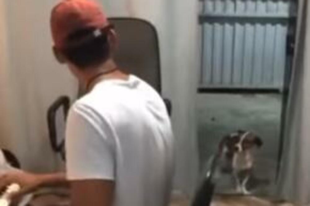 KAKAV JE TO PLESAČ KRZNENI: Gazda svira zaraznu pesmu, A PSIĆ ĐUSKA U RITMU, slatko ćete se NASMEJATI (VIDEO)