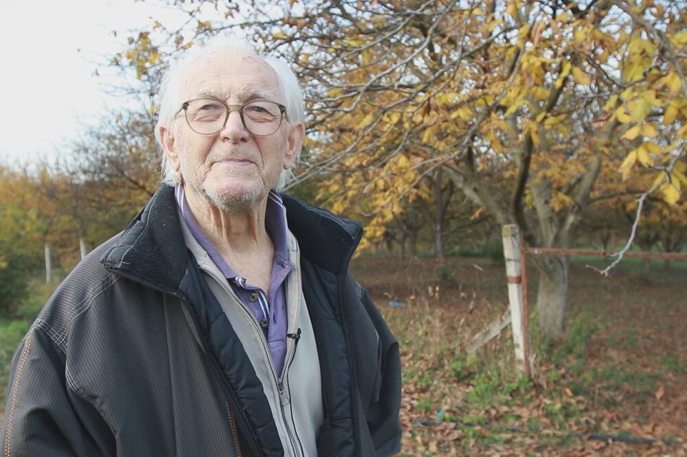 VLADAN ZNA KAKO MALO RADA MOŽE DA DONESE PUNO PARA: Otkupna cena voćke budućnosti je čak 900 DINARA! (FOTO)