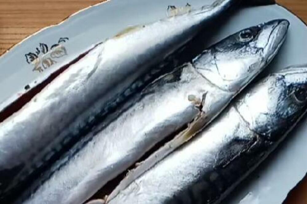 TRGOVCI ČESTO PODMETNU POKVARENU RIBU, A DA TO I NE ZNATE: Evo kako da PREPOZNATE svežu i spasite se TROVANJA