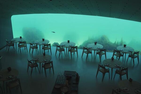 ZA JEDAN OBROK TREBA IZDVOJITI 200 DO 400 EVRA: Restoran POD VODOM gde na slobodan sto čekate po 6 meseci (VIDEO)