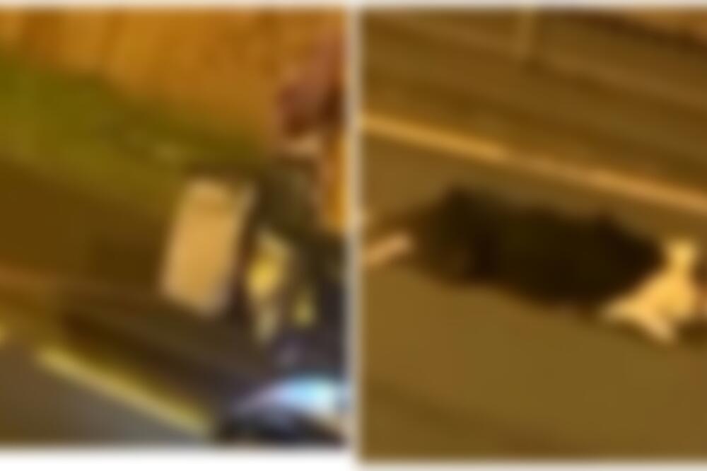 STRAVIČAN SNIMAK SE ŠIRI NA MREŽAMA: Pogledajte šta ova žena MONSTRUM radi svom PSU, duše NEMA! (UZNEMIRUJUĆ VIDEO)