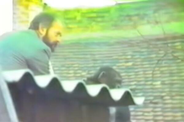 ZA PANTEROM SE TRAGA U SONTI, A SVI PAMTE OVO LEGENDARNO BEKSTVO: Evo kako se u BG "PREGOVARALO" sa Samijem! VIDEO