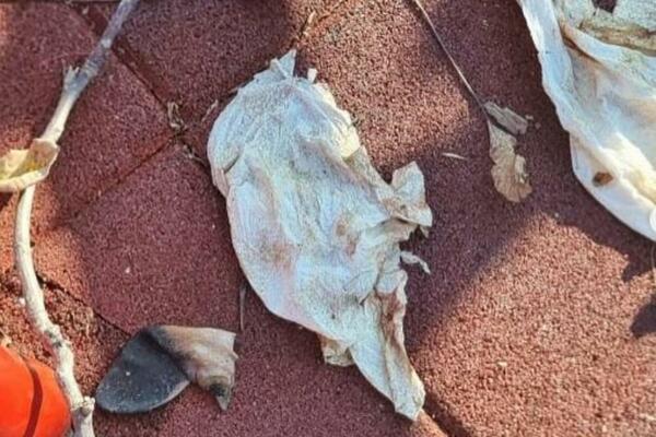 STRAVIČAN PRIZOR U DEČIJEM PARKU U BORČI: Igle, prezervativi, životinjske uši, roditelji u ŠOKU! (FOTO)