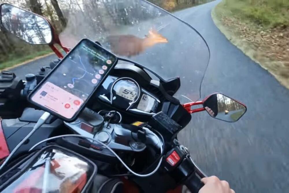 SNIMAK OD KOG SE LEDI KRV U ŽILAMA: Motociklom naleteo na jelena pri OGROMNOJ BRZINI! (VIDEO)