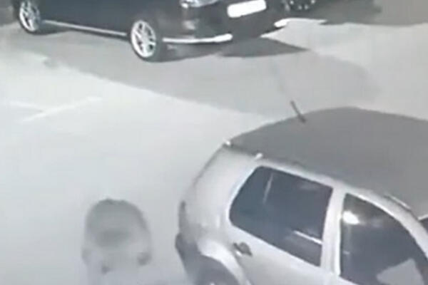 PORED PANTERA I OVA CRNA ŽIVOTINJA SNIMLJENA U KOMŠILUKU: Građani upozoreni, evo GDE se kreće