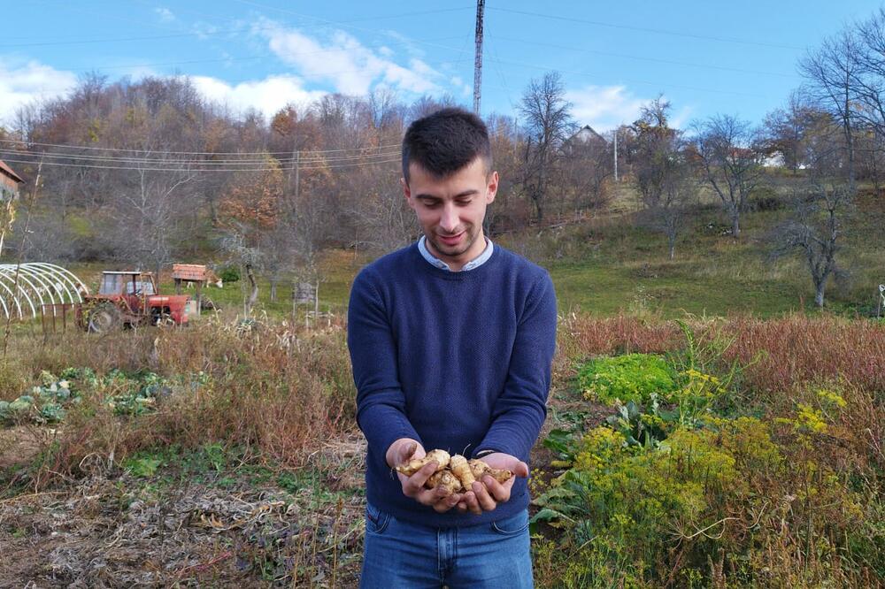 VELIŠA OSTAO U ŠOKU KAD JE UMESTO ĐUMBIRA ZATEKAO NEŠTO SASVIM DRUGO: Niko nije znao šta im je to RASLO u DVORIŠTU