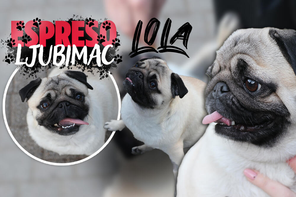 LOLICA DEBELICA JE BORAC I LENJIVAC U ISTO VREME: Pregurala je 2 teške bolesti, ali MRZI da šeta duže od 15 minuta