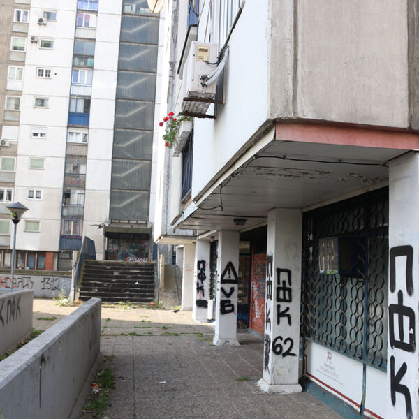 MANIJAK SE PIPAO PRED DECOM U PARKU NA NOVOM BEOGRADU! Posle toga drvenom motkom IZUDARAO DEČAKA PO GLAVI!