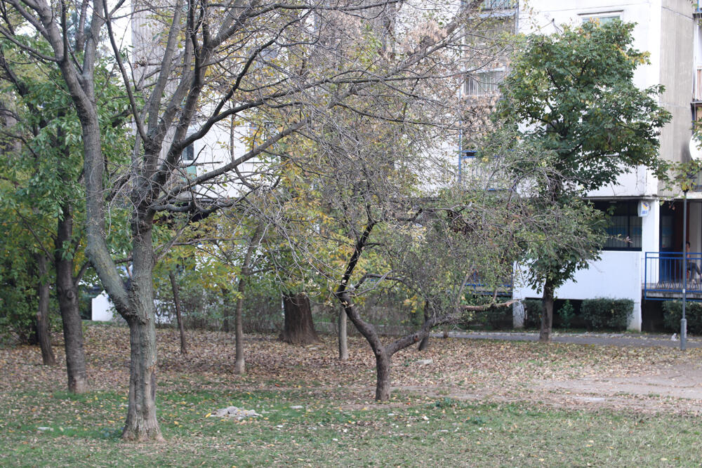 Zgrada / Ilustracija