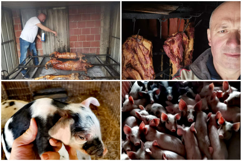 SKOČILA CENA PRASIĆA I TO DRASTIČNO! Dragan iz sela Zagorica se ubija od posla: "Telefon zvoni ceo dan"! (FOTO)