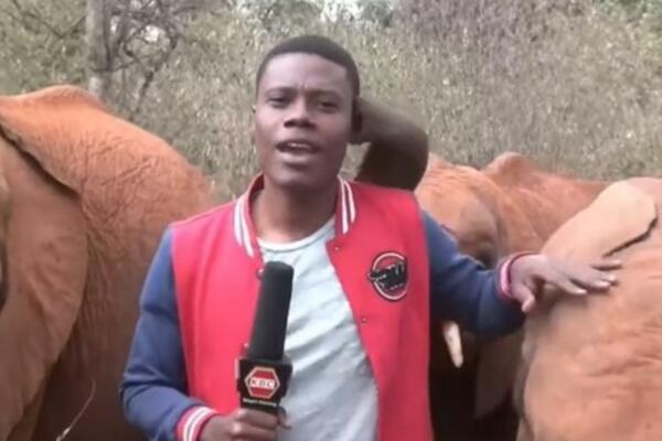 TO ŠTO JE SLONČE URADILO VODITELJU U PROGRAMU UŽIVO ĆE SE PREPRIČAVATI: Čovek nije znao ŠTA GA JE SNAŠLO (VIDEO)