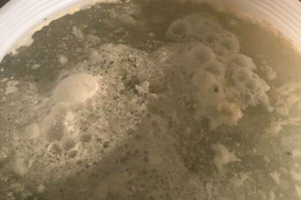 KUVARICA OTKRILA ŠTA ĆE SE DESITI AKO DODATE KUPUS U MLEVENO MESO: Saznanje će vas OBORITI SA NOGU (VIDEO)