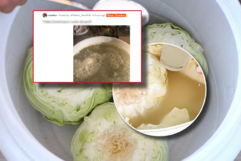 SRBI DIGLI BUNU NA DRUŠTVENIM MREŽAMA, SVI GLEDAJU U JEDNU KACU KUPUSA: Jel OVO normalna POJAVA ili je prop'o? FOTO