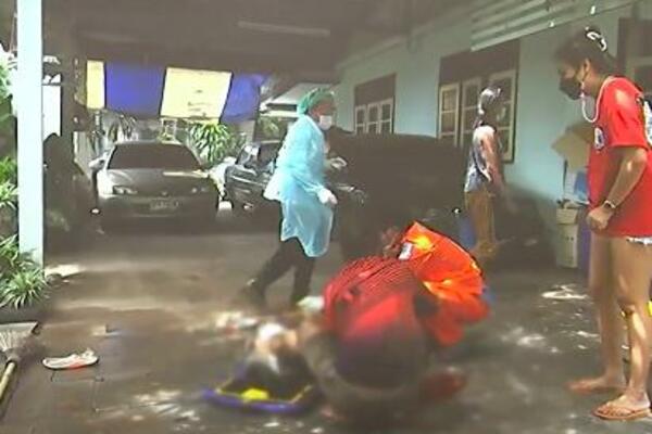 PITBUL PO IMENU NACISTA: Nakon što je uradila OVO, vlasnica nađena U LOKVI KRVI, a on je OPRAVDAO svoje ime!