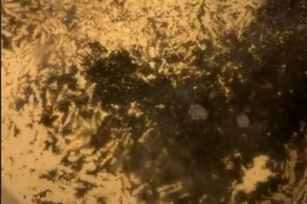 SPAS ZA PRANJE ZAGORELE ŠERPE: Oduševićete se kako je zablistala posle OVAKVOG RIBANJA (VIDEO)