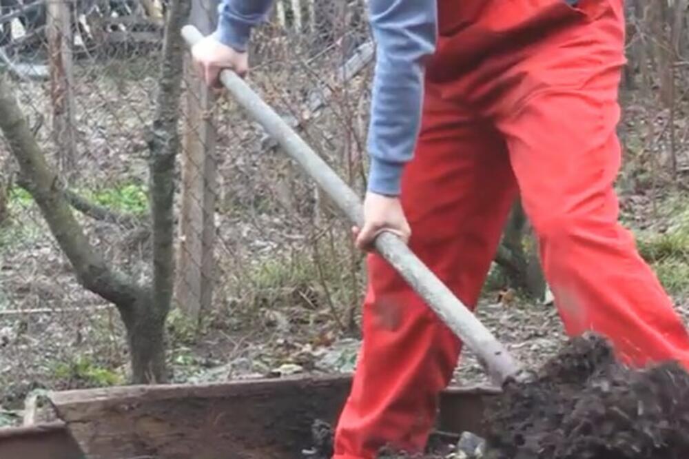 POMEŠAJTE OVA 3 SASTOJKA I DOBIĆTE DOMAĆE ĐUBRIVO: Od toga biljke NEZAUSTAVLJIVO RASTU, a BACAMO IH U SMEĆE
