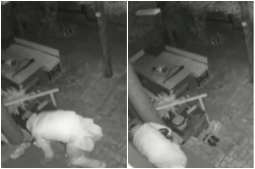 OVAKAV SNIMAK JOŠ NISMO VIDELI U BEOGRADU! Sigurnosne kamere uhvatile pravi TRENUTAK, gledajte ga samo (VIDEO)