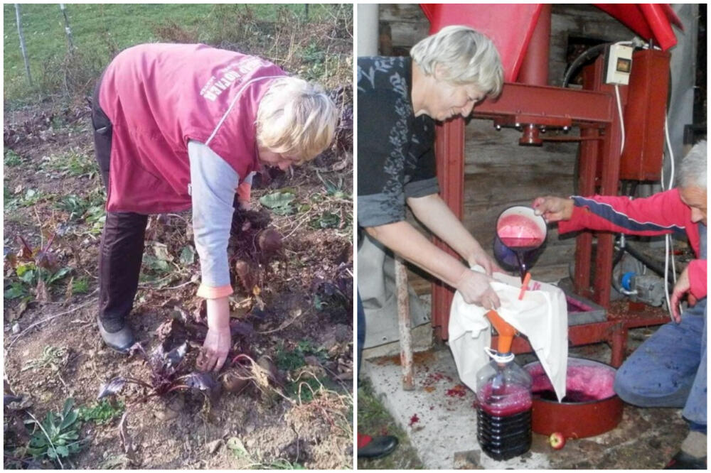 SRBI SE KUNU U NJU, SADRŽI REDAK VITAMIN: Aleksandar proizvodi ČIST LEK, unapred sve rasproda! (FOTO)
