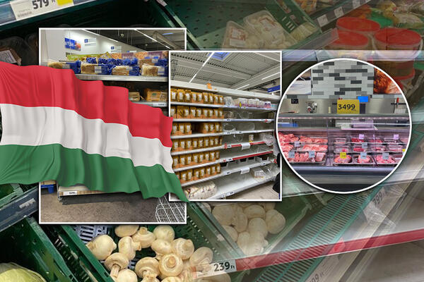 DA LI JE JEFTINIJE KUPOVATI HRANU U MAĐARSKOJ? SRBI SE VRAĆAJU S PUNIM TORBAMA?! Poređenje cena će vas IZNENADITI