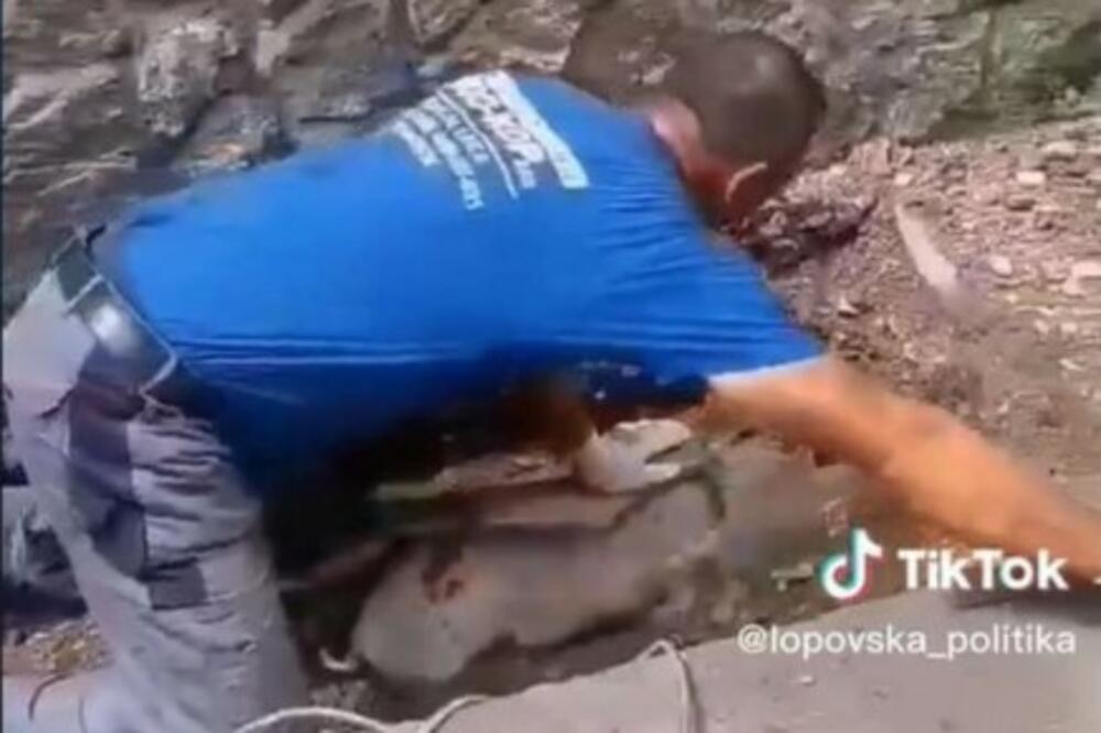 NEVEROVATNO: Prase se ZAGLAVILO u KANALIZACIJI, čovek ga SPASIO BUŠILICOM! Neviđen SNIMAK iz Banjaluke (VIDEO)