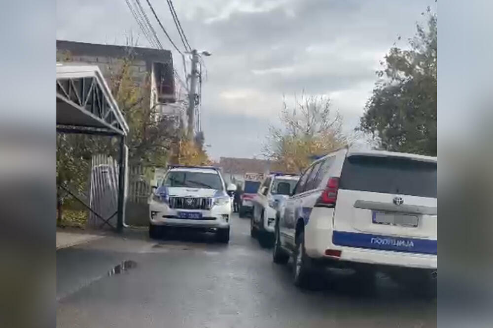 Leštane / Ilustracija